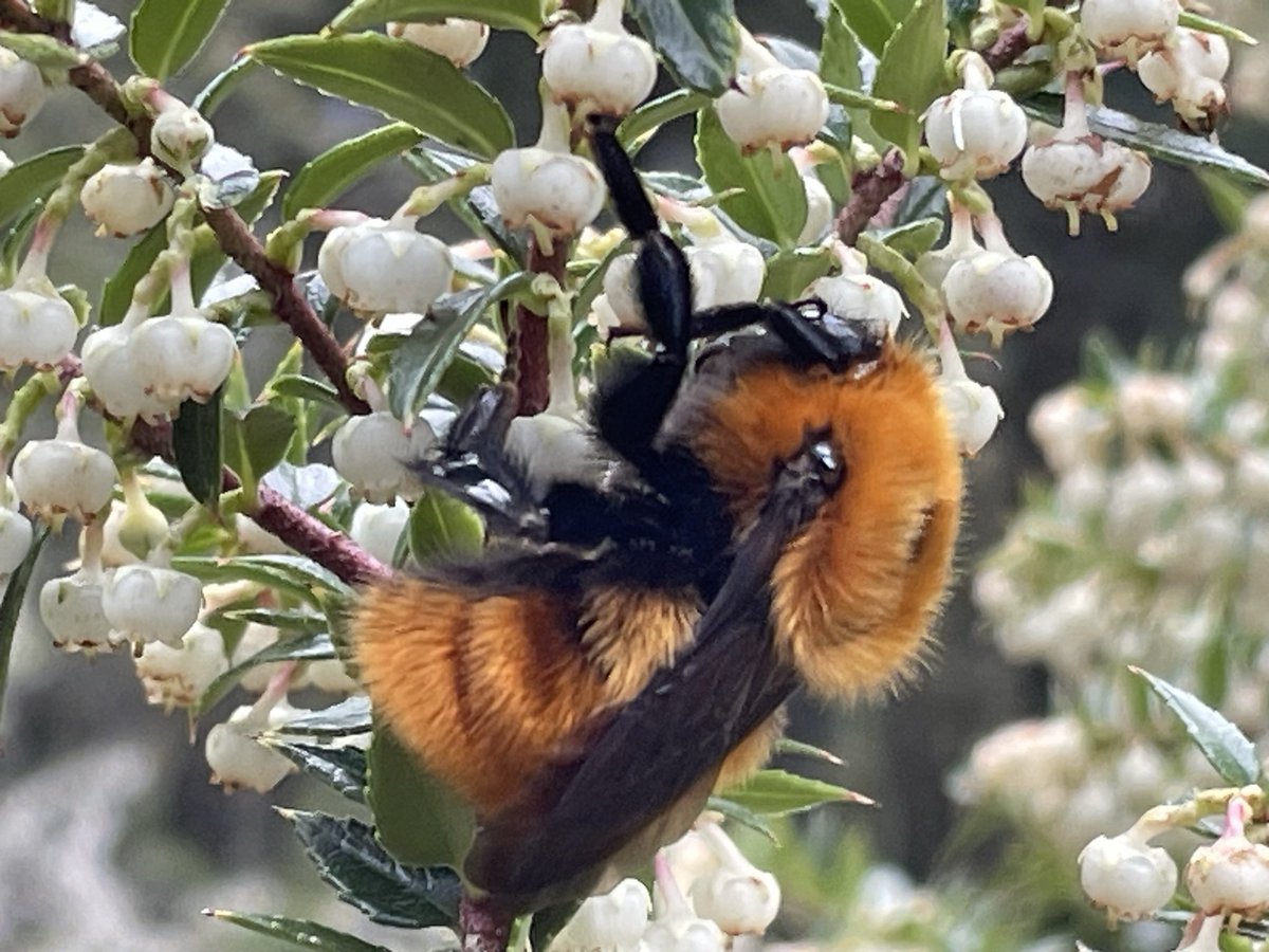 Mark Brown tweet media