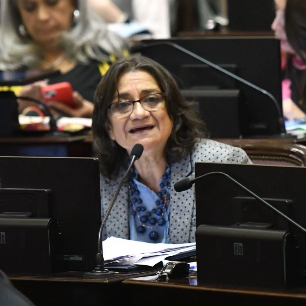 LuciaCorpacci's tweet photo. Esta #LeyBases beneficia solo a los que más tienen, nada significa desarrollo para nuestra Argentina. Lo único que les importa es el DNU porque pueden seguir haciendo todas las barbaridades que están haciendo hasta el día de hoy. 

Intervención 👇https://t.co/uSP3sJb38L https://t.co/cv9OwNHhXb