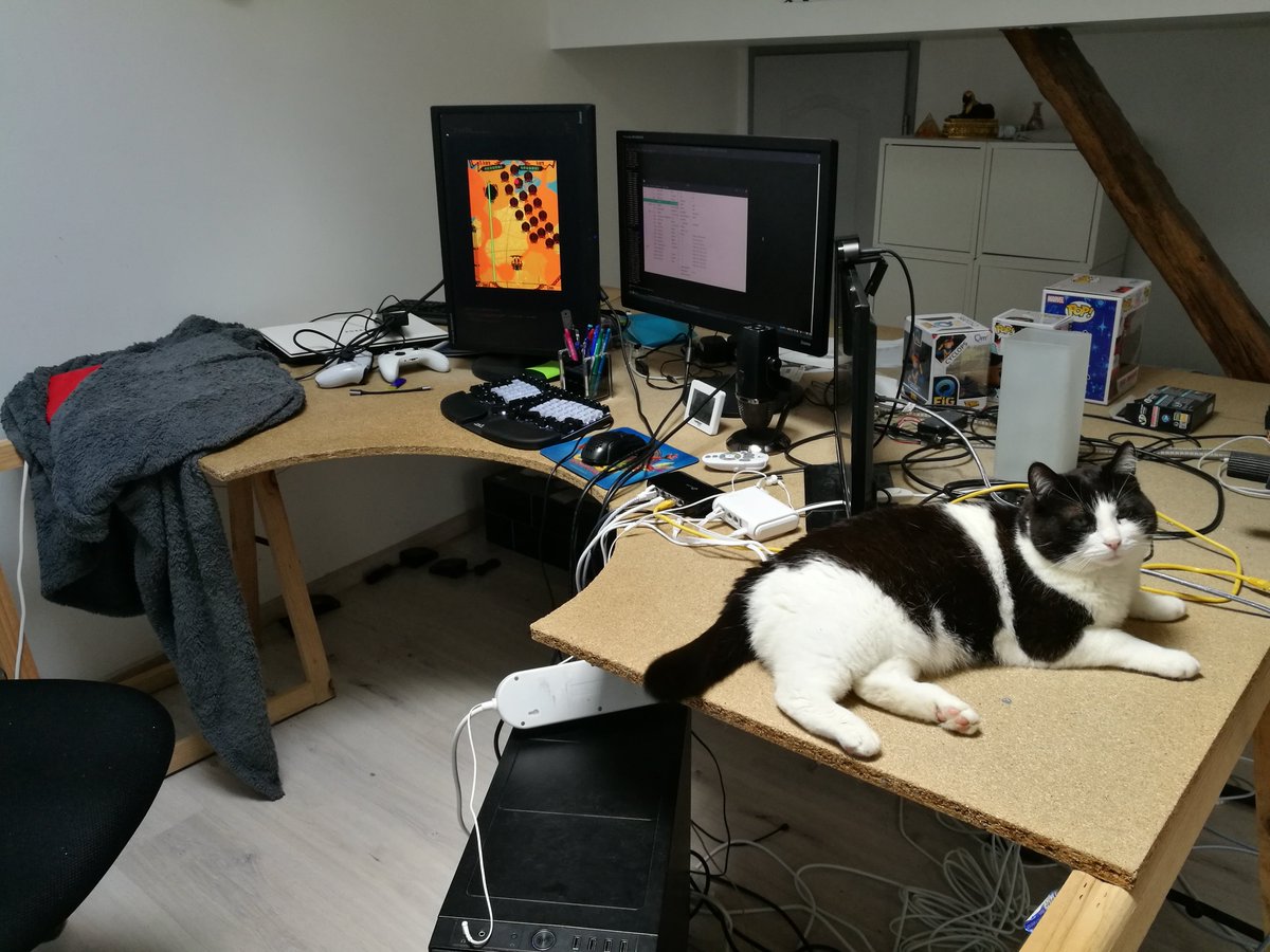 LilianGimenez0's tweet image. I don&apos;t want to show the mess but I really want to show Pilou and his bed. So #IndieDevWorkspaceChallenge