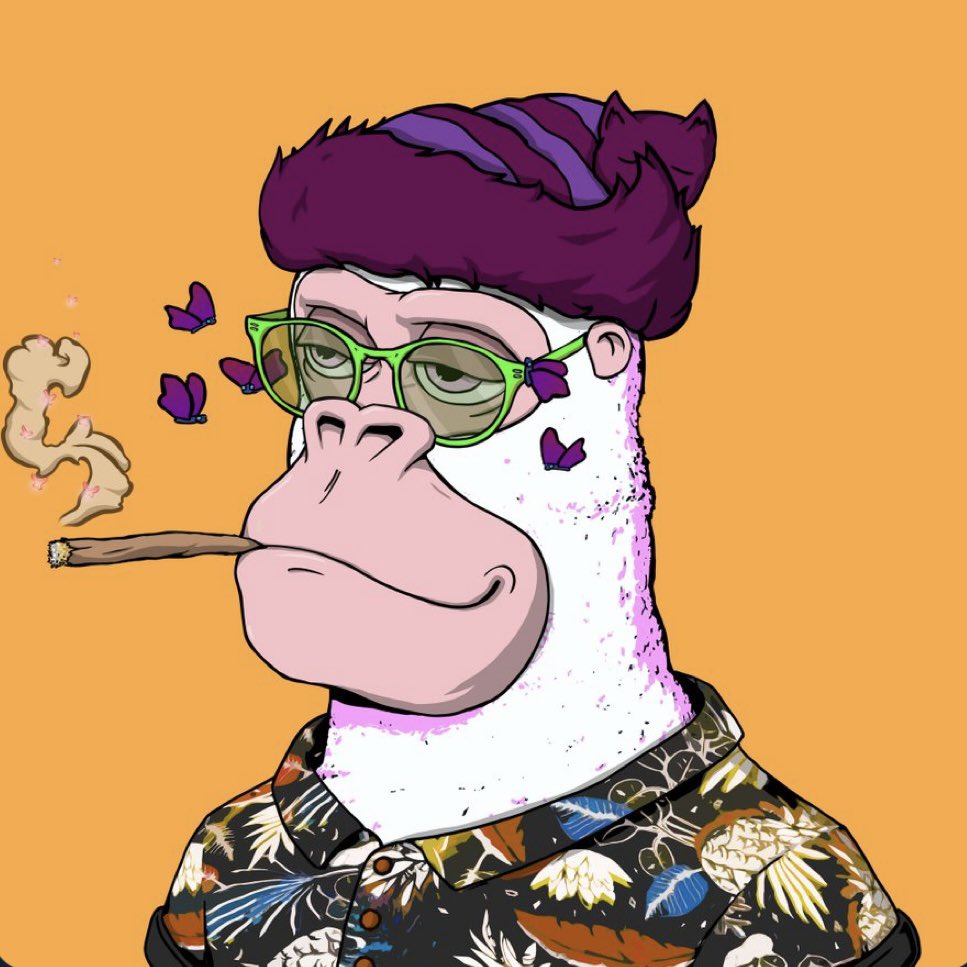 KONG #8445 tweet media