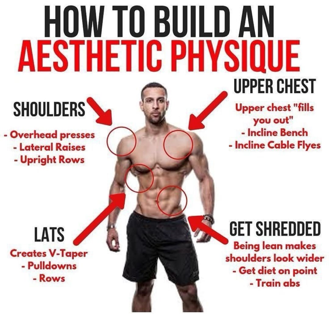 AnarchyMuscles's tweet photo. Build Your Dream Physique
#buildyourphysique #DreamPhysique #buildyourbodynow #fitnessgoals #fitnessjourney https://t.co/H0LJtPbUBX