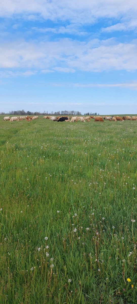 Jason Desrochers tweet media