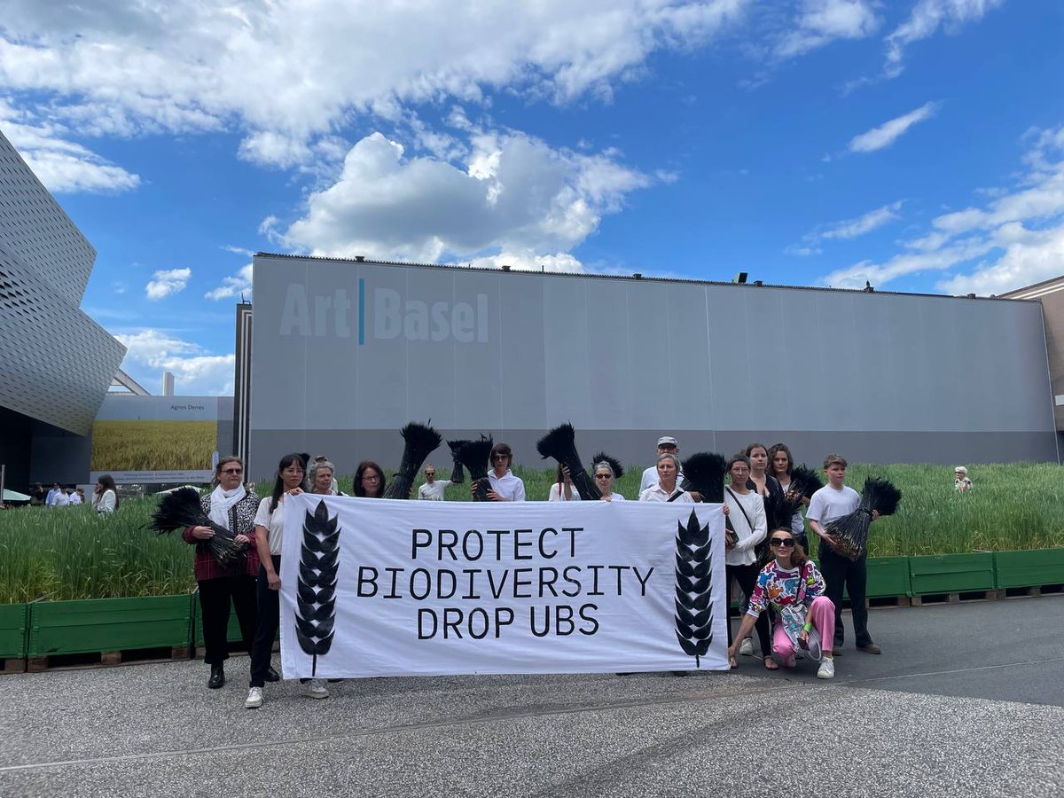 #ArtBasel must drop sponsorship of <a href="/UBSschweiz/">UBS Schweiz</a> 🛑Activists held blackened wheat sheaves at the "Honouring Wheatfield" installation 🌾to highlight UBS's financing of deforestation and fossil fuels. They call for true action on #biodiversity. #Greenwashing #EndFossilFinance