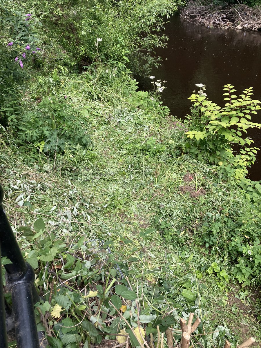 theblueloop's tweet photo. A multi-faceted session today by Salmon Pastures + colleagues from @RiverStewards. Path clearance, vegetation trimmed & loads of Balsam - bashed! “Alone we can do so little, together we can do so much.” & we did. Thank you ‘Loopers!👍
@theoutdoorcity @SustransNorth #sheffieldis https://t.co/piYgEWIigw
