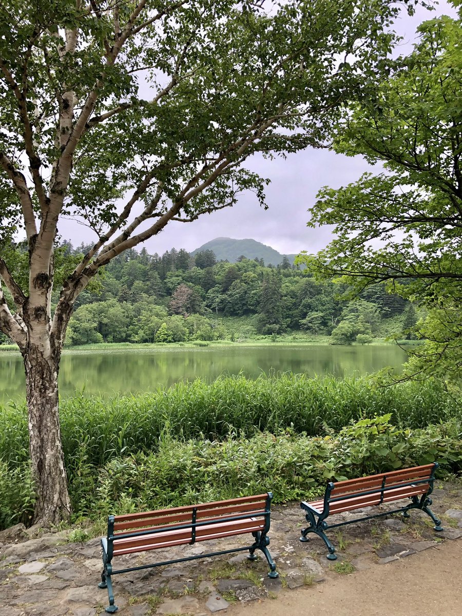 seibouz's tweet photo. 93回目となる今夜のラジオ深夜便「旅の達人〜低い山を目指せ！」は、北海道は利尻島の（鴛泊の）ポン山と姫沼でした。
テントをゆ〜に張って、前日登った利尻山と数日後に渡る礼文島を眺めたポン山は最高だったし、なにしろこのキャンプ場に集まる旅人たちが最高だったな。
https://t.co/KvzhYKnqSz https://t.co/V1z1GNUQj8