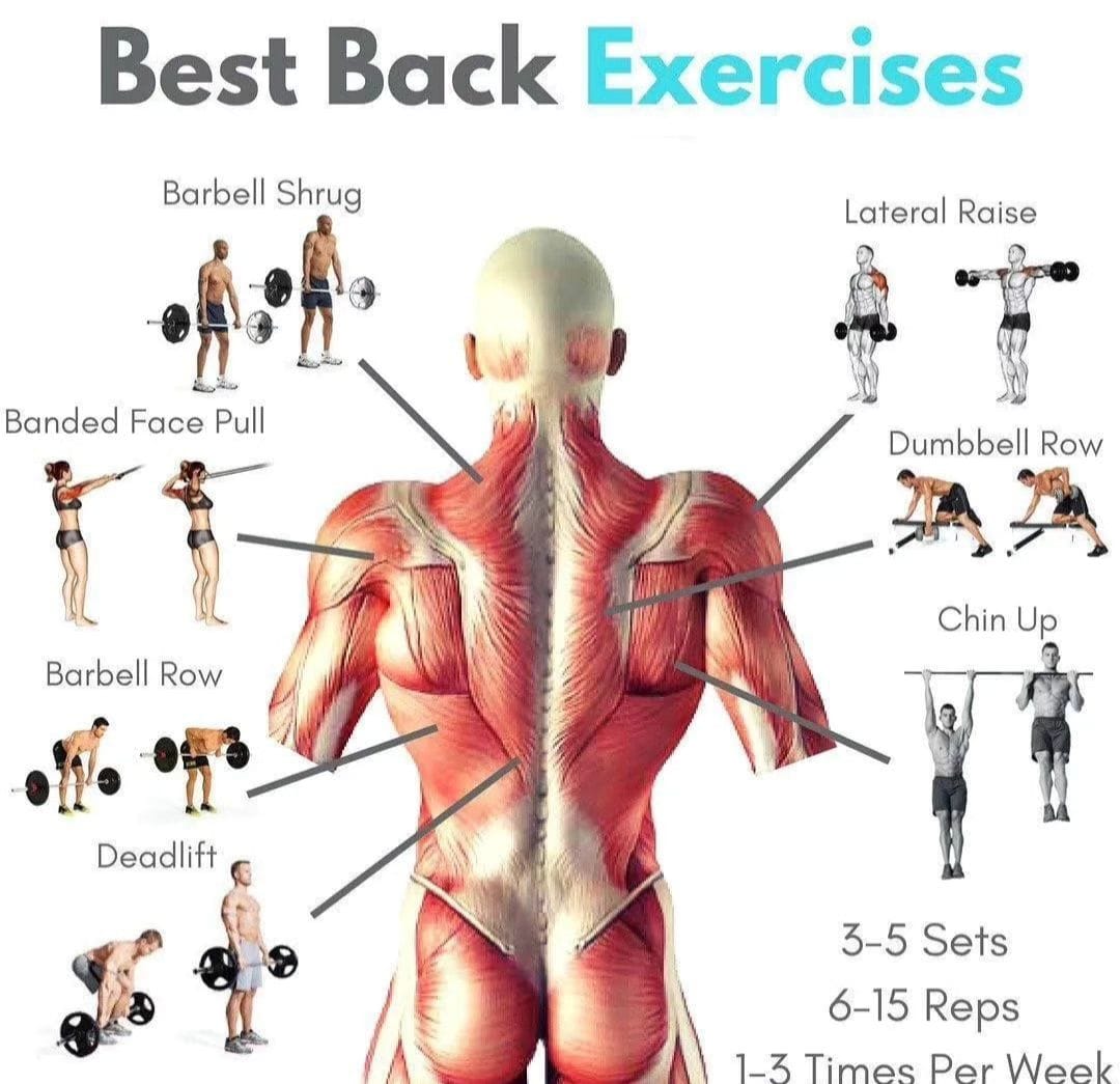 FitnessModelsL1's tweet image. Best Back Exercises

#back #backday #backworkout #backexercises #backworkouts
