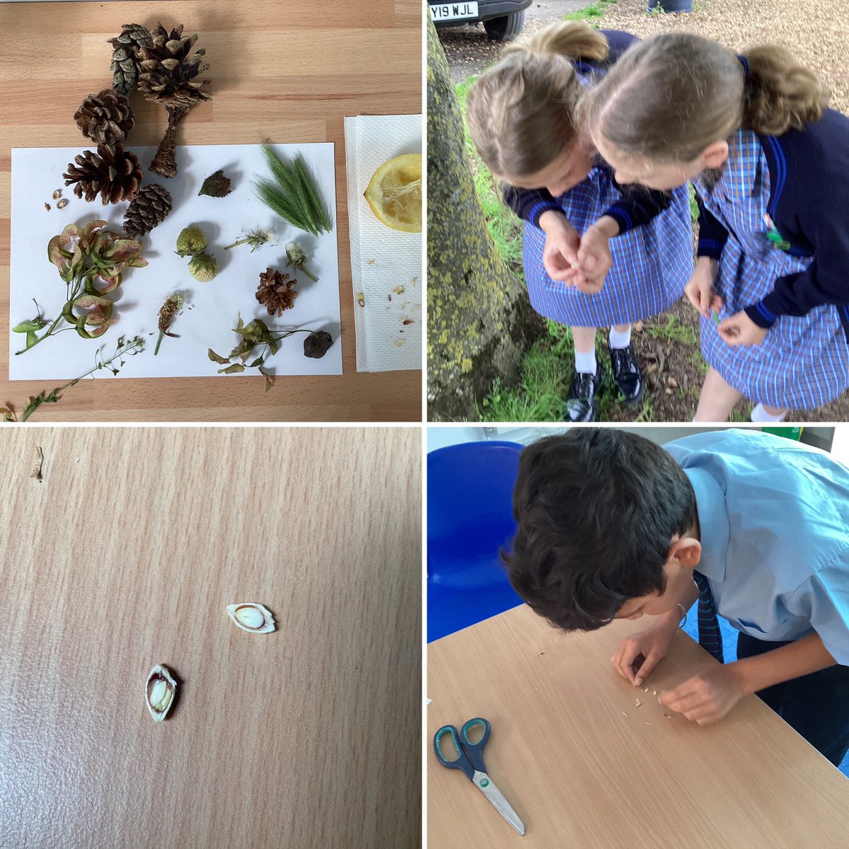 StMargs Year 5 tweet media