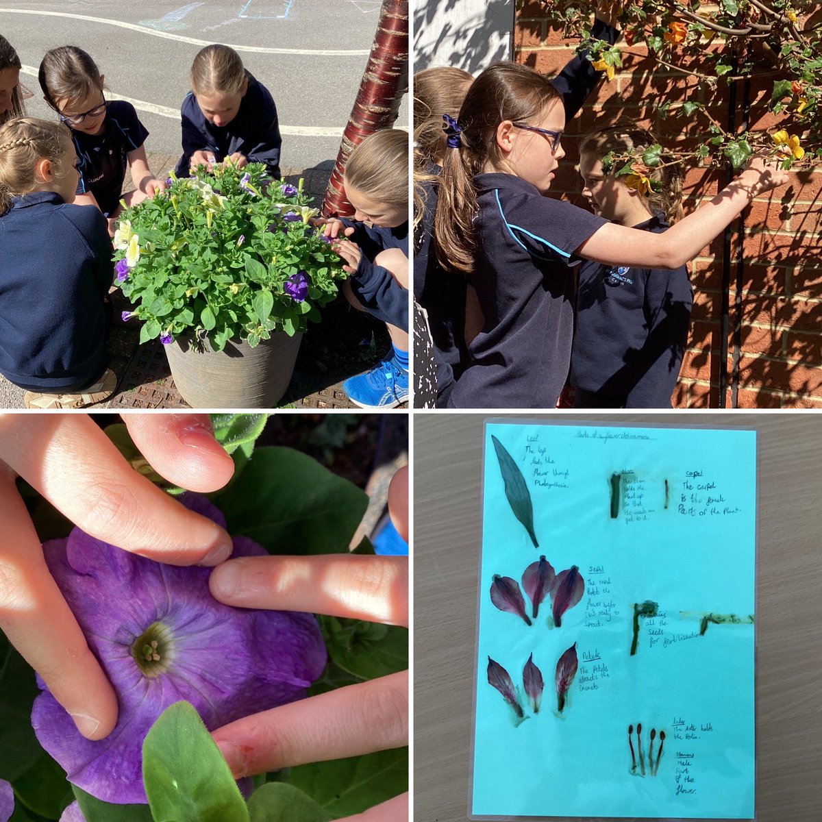 StMargs Year 5 tweet media