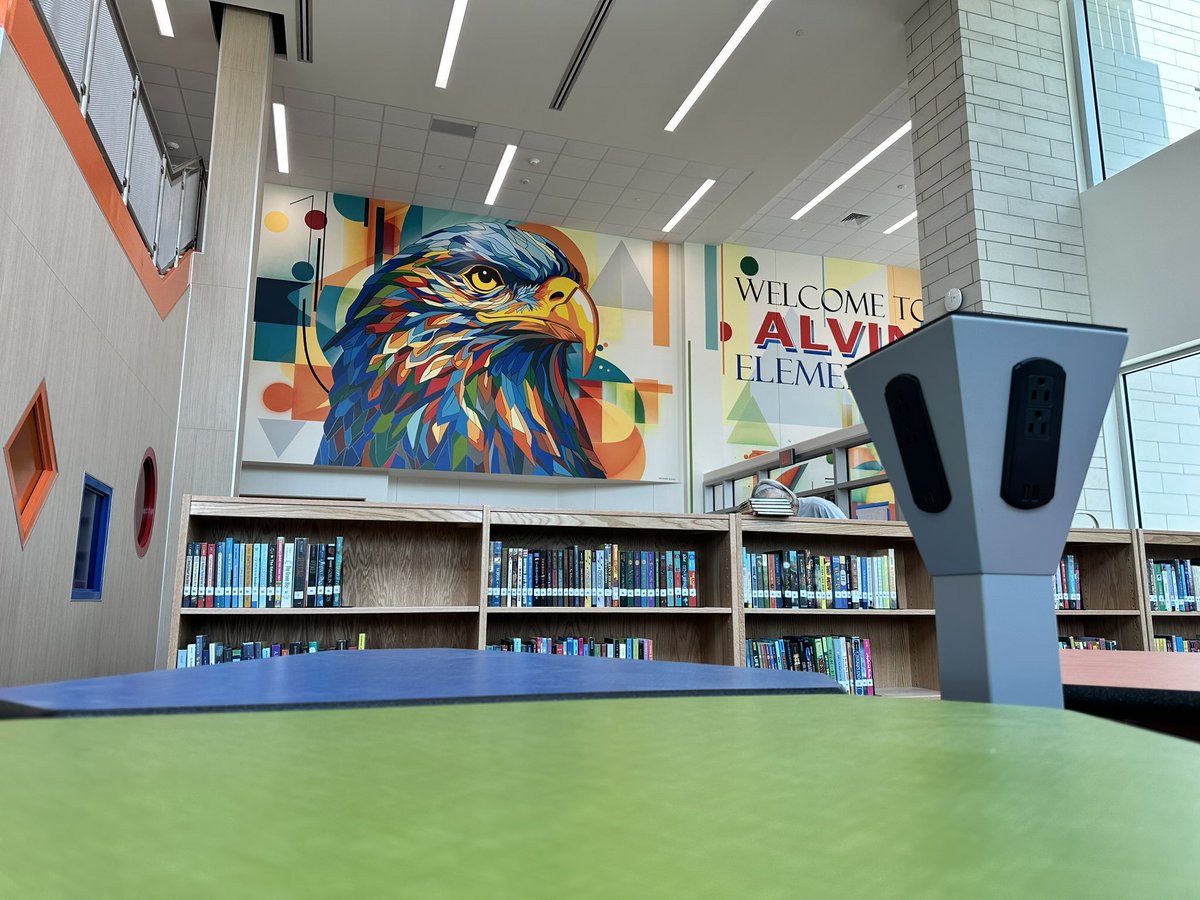 AlvinISD's tweet photo. Books? Books! District librarians worked together to stock the new @alvinelementary library today! https://t.co/u9dGVZoCqD