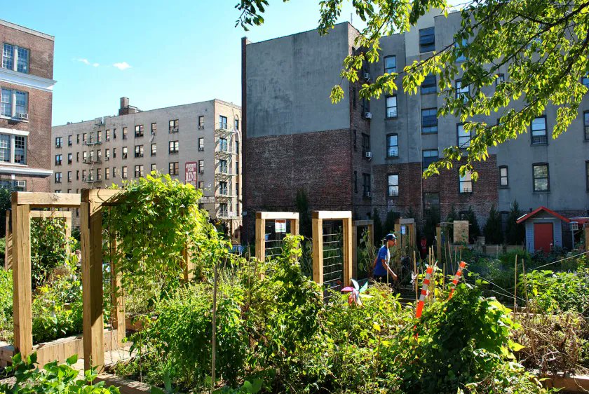 Modern urban sprawl has often overlooked the importance of community gardens, but current urban planning aims to reverse this trend–one garden at a time. Read more about the Power of Green🌳and the importance of Community Gardens in our recent blog post! 📩lnkd.in/gVsBgEME