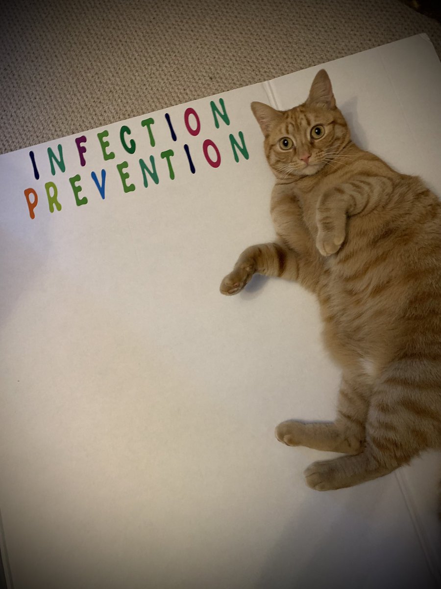 Vigent 💙 tweet media