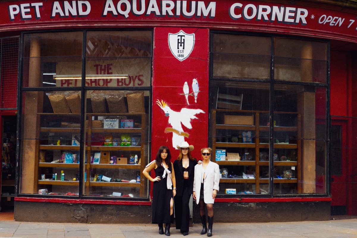 T H E L O G A N S tweet media