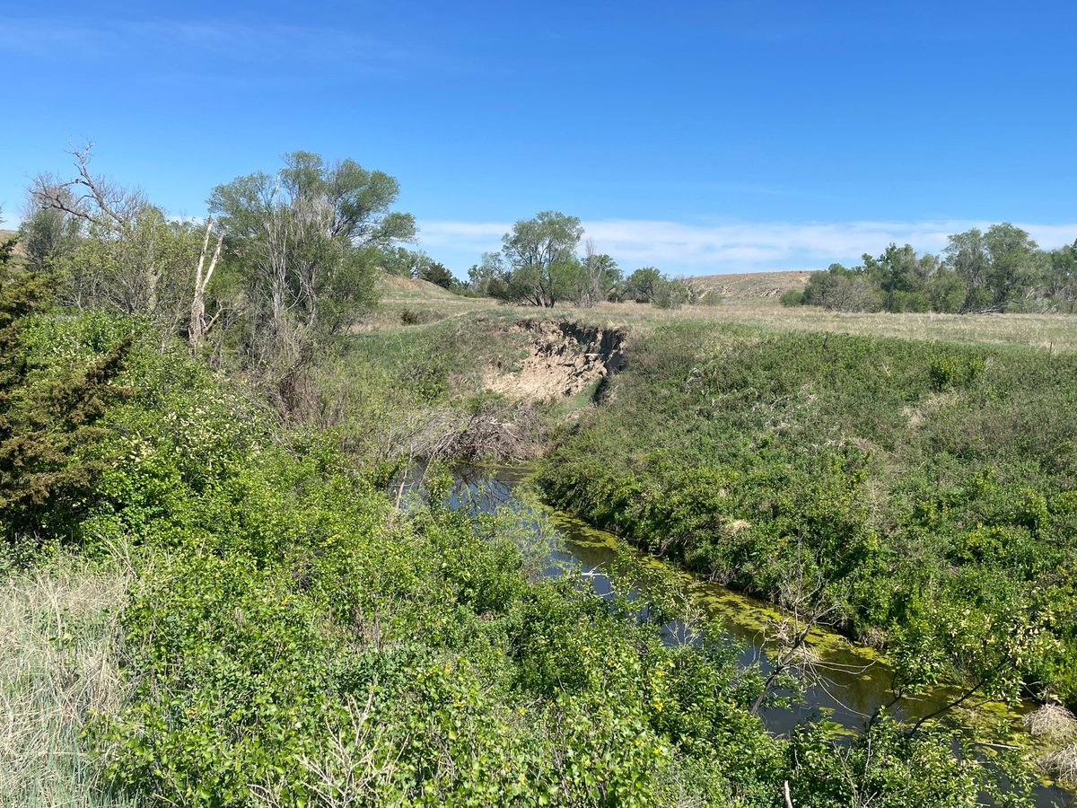 LashleyLand's tweet photo. NEW LISTING! Hitchcock County Camp Creek Hunting Camp features a 339± acre recreational paradise near Stratton, NE. See more here: https://t.co/mdS1ZHhWJa https://t.co/qJ0IYwIlQj