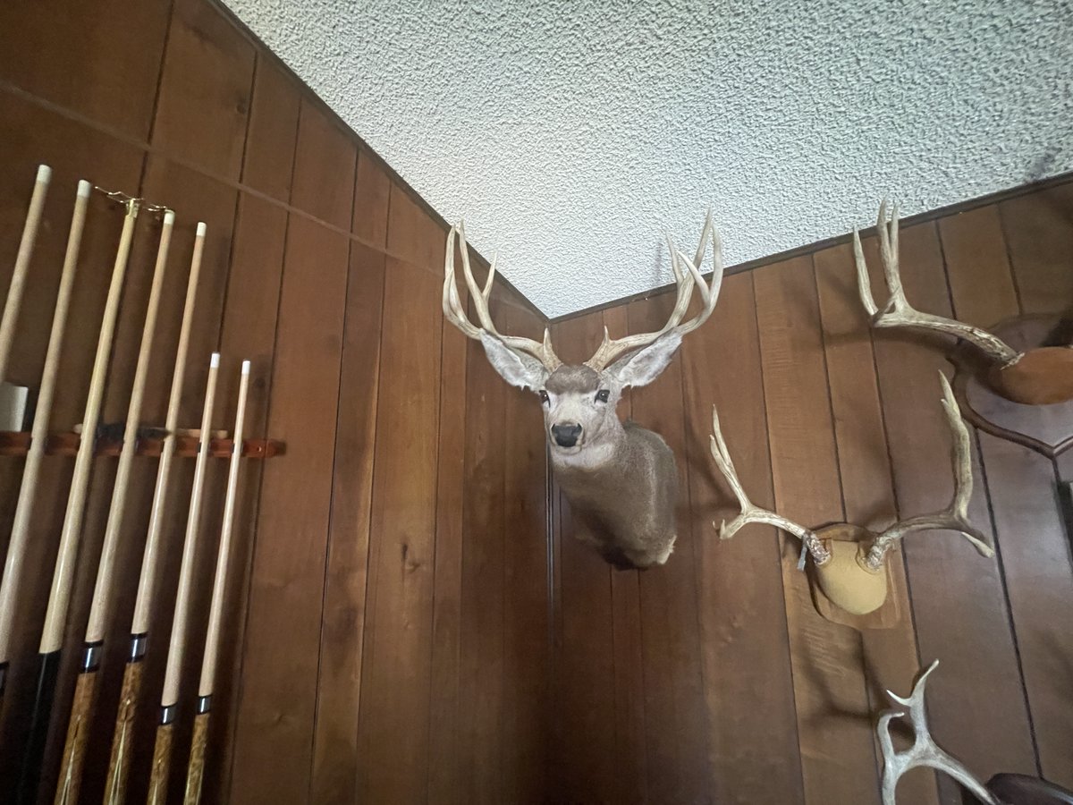 LashleyLand's tweet photo. NEW LISTING! Hitchcock County Camp Creek Hunting Camp features a 339± acre recreational paradise near Stratton, NE. See more here: https://t.co/mdS1ZHhWJa https://t.co/qJ0IYwIlQj