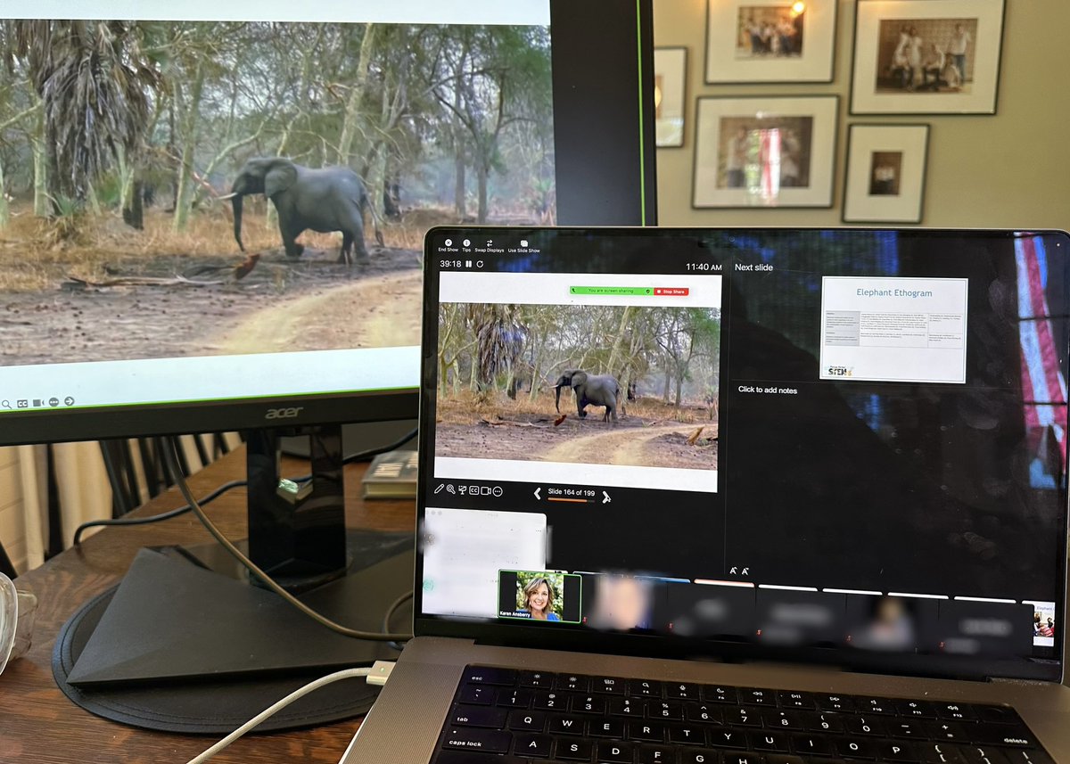 PPSLessons's tweet image. A nice morning with Kansas teachers learning about STEM, children’s literature, and elephants! Thanks for the opportunity (&amp;amp; providing free books for participants @frizzlerichard 🤗)

@ksdehq #STEM #STEMeducation #KidLit @elephantvoices