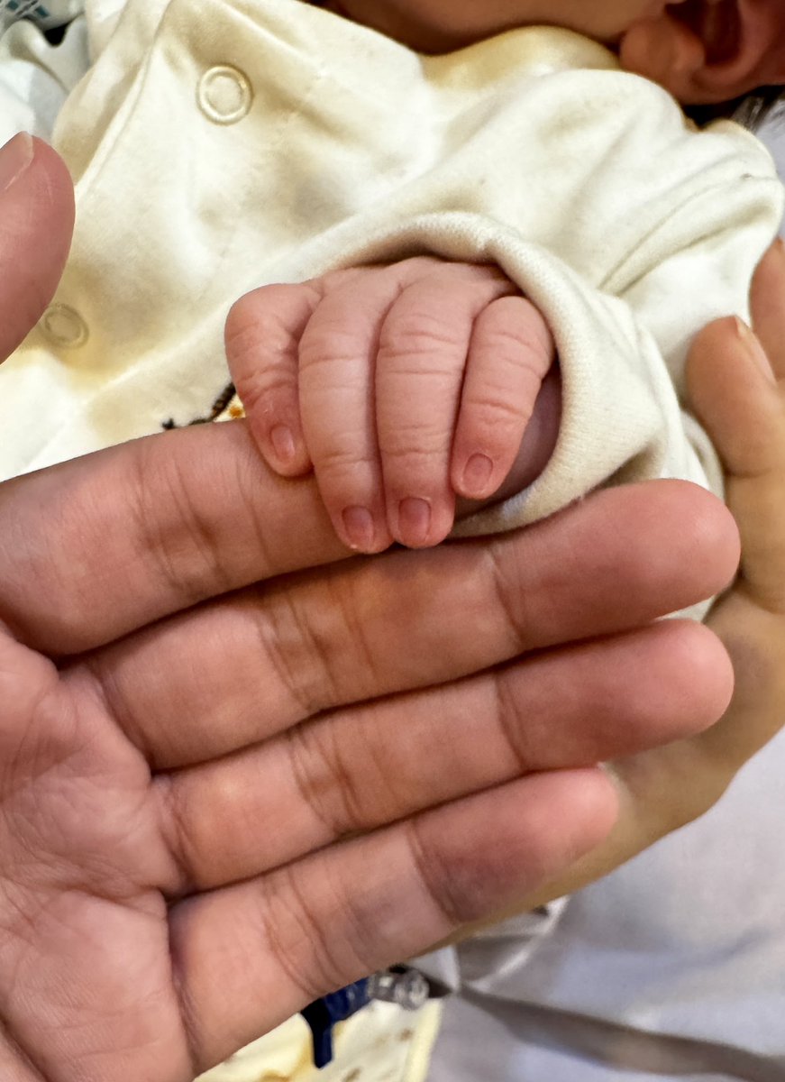 Azlaar | Digital Artist tweet media