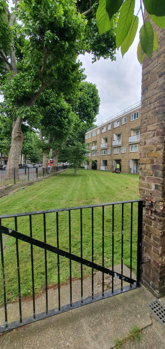 WildAtHartley's tweet photo. Nature emergency? What emergency? @TowerHamletsNow destroying nature all for "tidiness" in an already nature-deprived borough. Did the long grass bother anyone? Didn't it look nicer and provide shelter, flowers, and pollen for insects? 1st pic: before. 2nd pic: after. Inept. https://t.co/7O2NwU4Gsv