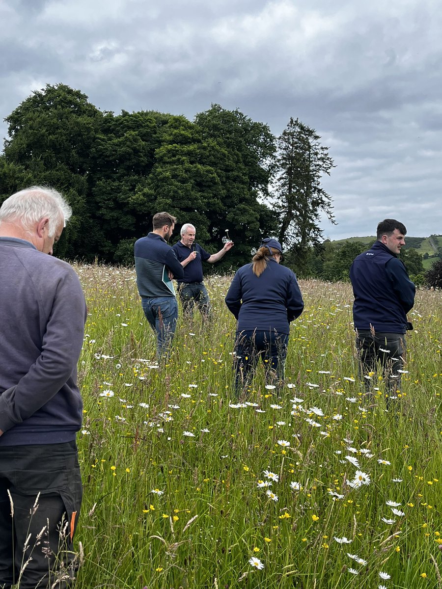 Matthew McInerney tweet media