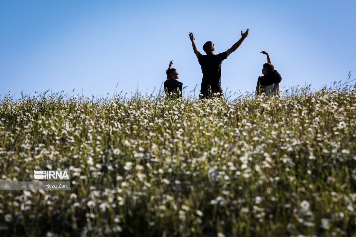 IrnaImages's tweet photo. ��شت گل های بابونه
.
Chamomile Plains
Photo: Reza Zare
.
https://t.co/ieVo2BSLu2 https://t.co/TEZbC9cVwf