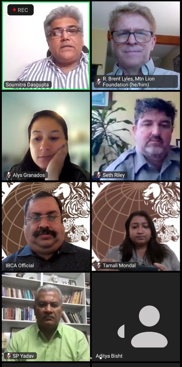 6/6

The webinar was successfully organised by IBCA team comprising of Mr. <a href="/AdityaBisht0411/">Aditya Bisht</a> &amp; Dr. <a href="/forestandocean6/">Tamali Mondal</a> &amp; moderated by Dr. <a href="/Kausik32874605/">Kausik Banerjee</a>, Lead Specialist IBCA, who facilitated engaging discussions. 

This contributed to a meaningful dialogue on puma conservation.