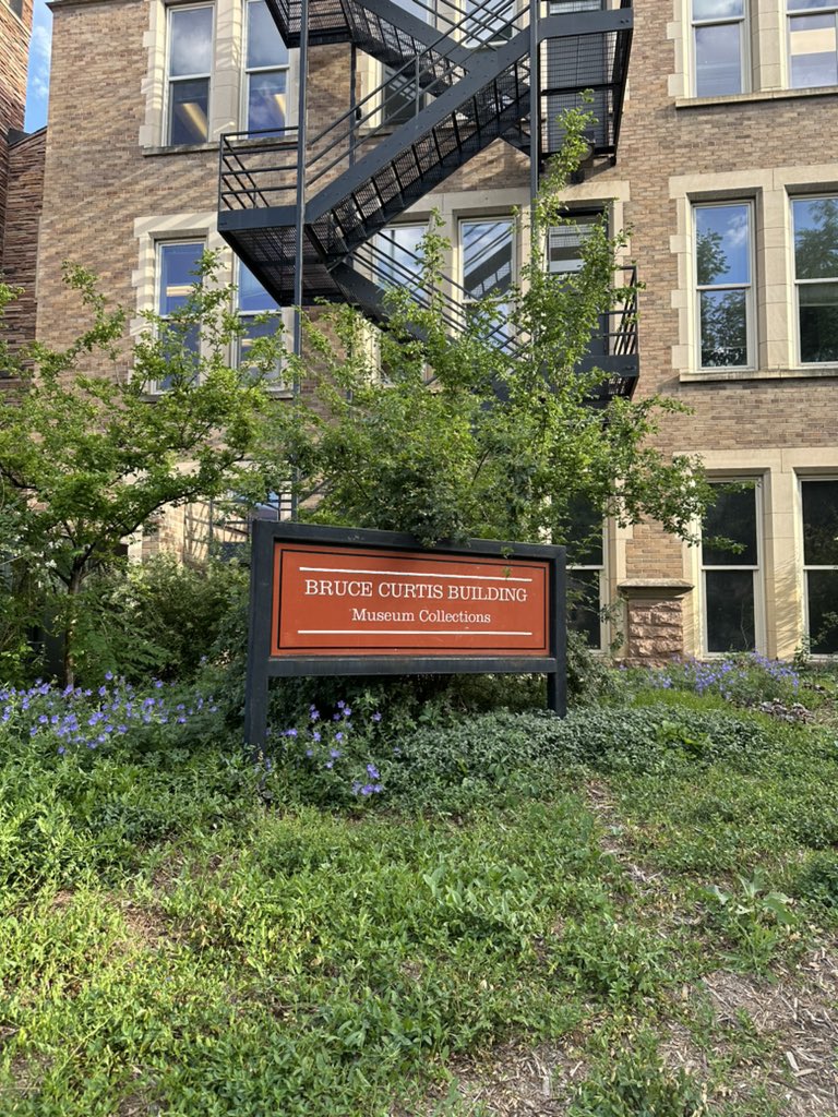 oliviachapmn's tweet photo. Got the amazing opportunity to tour the collections at the CU Boulder Museum of Natural History at #ASMBoulder! #CollectionsAreEssential https://t.co/gxEZHo1oRm