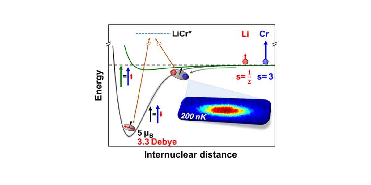 Production of ultracold LiCr molecules and thorough characterization of their properties establishes LiCr as a prime candidate for the realization of quantum gases of doubly polar molecules. <a href="/LENSQGases/">LENS QuantumGases</a>

Article: go.aps.org/3Rp0KiB
Synopsis: go.aps.org/3VDkzVU