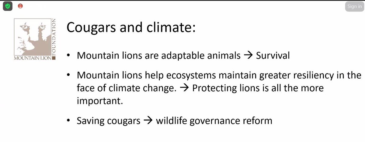 2/6

During the webinar, Mr. Brent Lyles, Executive Director <a href="/MtnLionFdn/">Mountain Lion Fdn</a>, highlighted three key challenges facing cougars:

➡️Myths &amp; misconceptions
➡️Exploitation and persecution
➡️Human-wildlife coexistence

He also discussed the impact of climate change on cougars.
