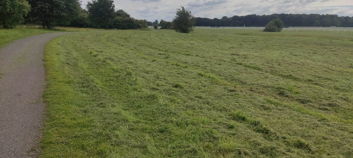 Dismayed to see <a href="/yorkracecourse/">York Racecourse</a> have cut down acres of wildflowers only days after I tweeted about how fantastic they looked.  Why was this necessary?  All that nature gone. We are in a Nature Crisis and need to do better than this. So sad. 😞