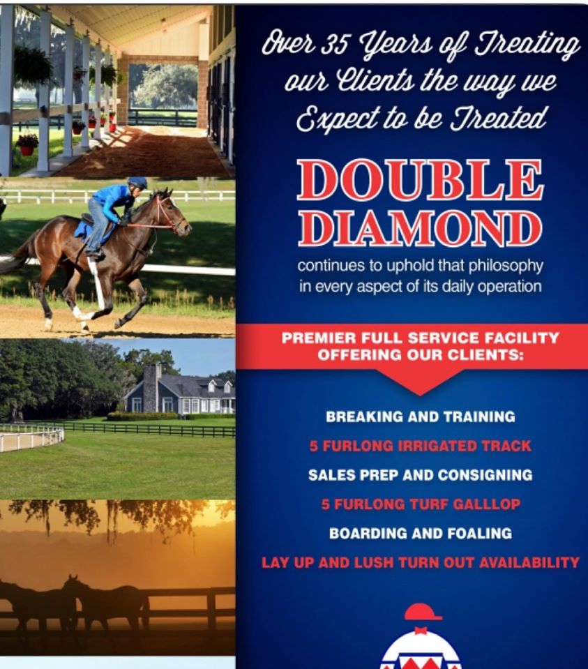 Double Diamond Farm a premier training center for your equine athlete. Breaking &amp; training, plentiful turn-out paddocks. Our goal is always to create a balanced equine athlete. #Ocala
doublediamondfarm.com