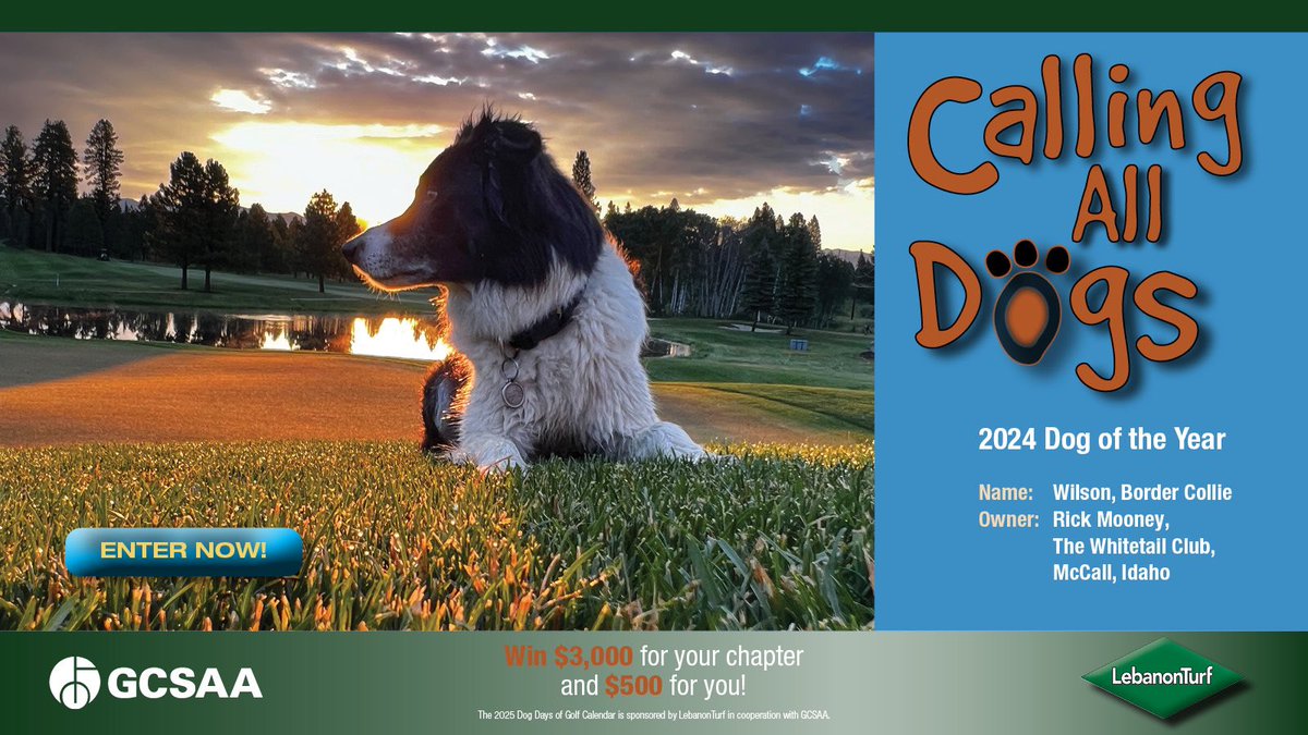 🐾 🐾 🐾 🐾 🐾 🐾 🐾 🐾 🐾 🐾 

IT'S THAT TIME! Submit a photo — or multiple — of your canine companion by July 29 for the 2025 Dog Days of Golf Calendar, sponsored by <a href="/LebTurf/">LebanonTurf</a>. You could win $3,000 for your chapter, $500 for you + bragging rights!
gcsaa.org/dog-calendar