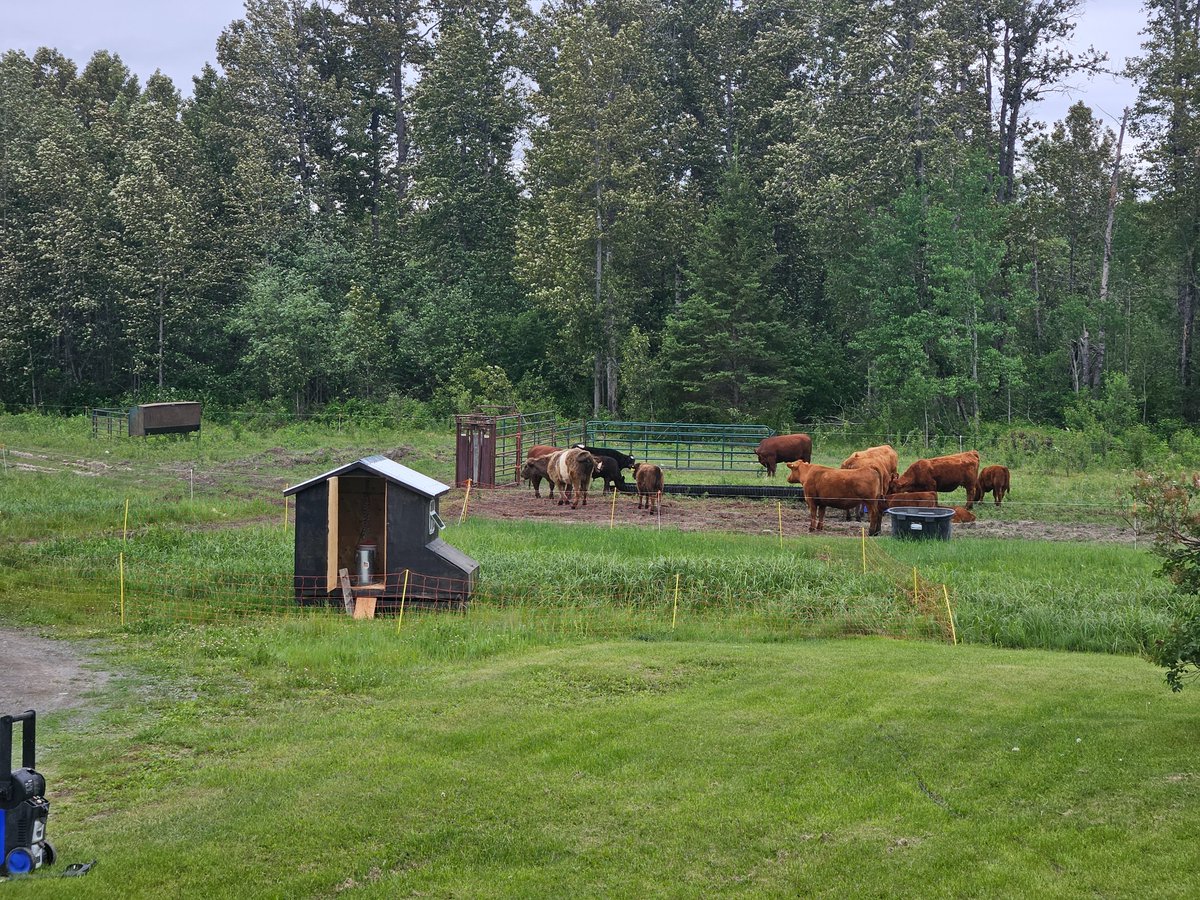 Jason Seed tweet media