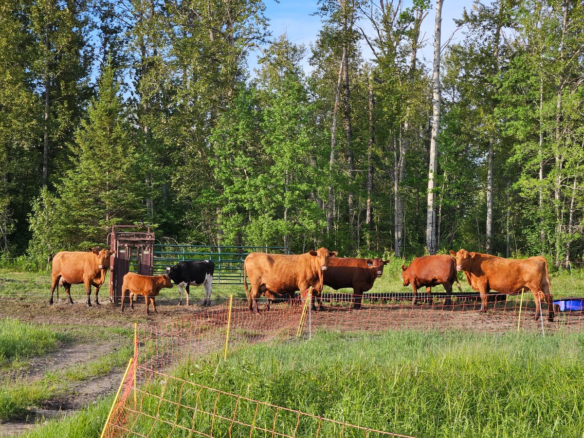 Jason Seed tweet media