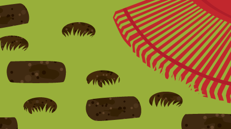 Dethatching and aerating your lawn can help ensure that water, nutrients, and oxygen are getting into the soil and nourishing your grass.
fix.com/blog/lawn-care…