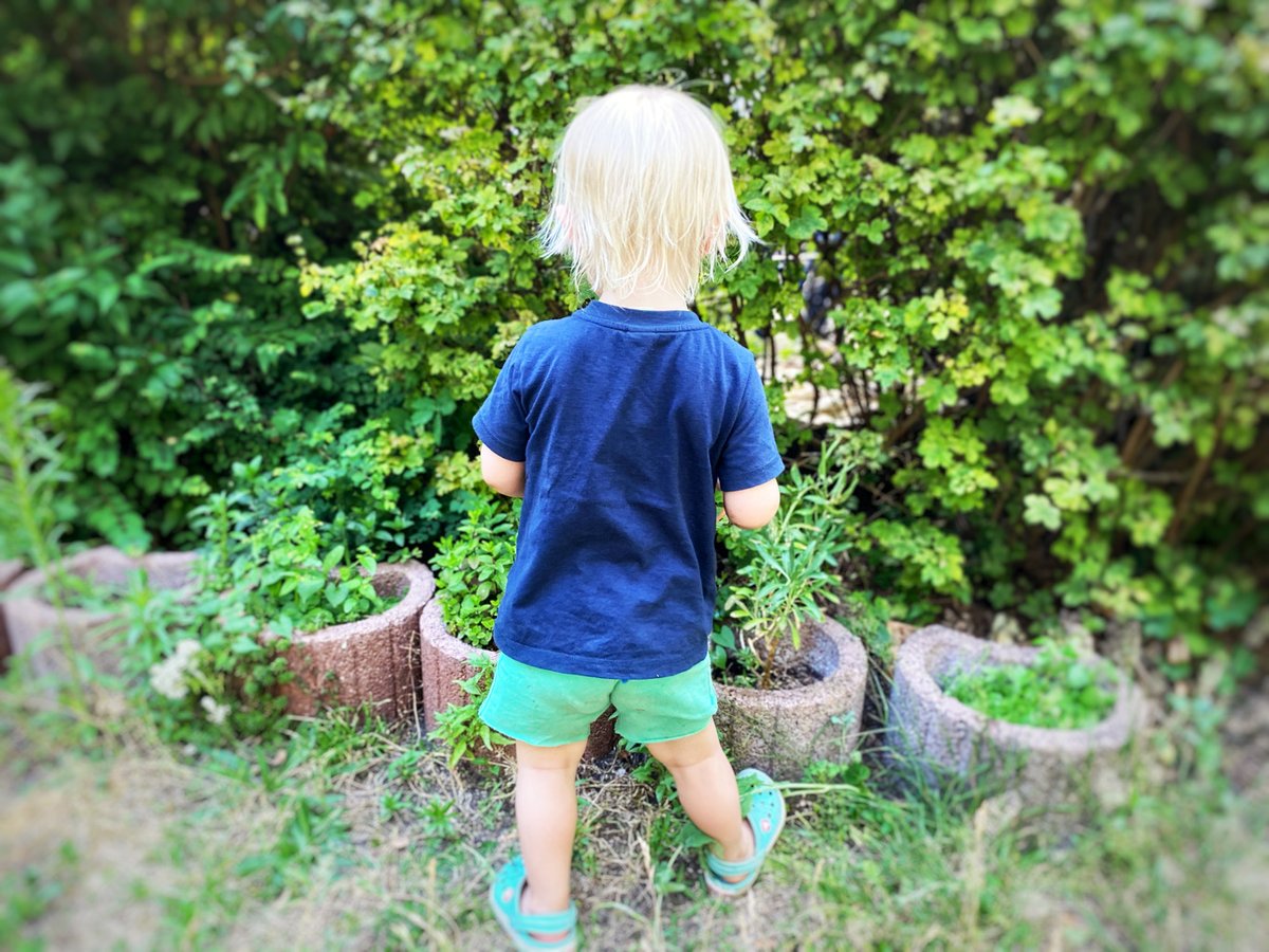 HBM4EU (@hbm4eu) on Twitter photo Child samples show higher current-use #pesticides concentrations, likely due to their diet. Further research is needed for accurate risk assessment:
doi.org/10.1016/j.envr…
#health #science #toxic <a href="/Umweltbundesamt/">Umweltbundesamt</a> <a href="/GermanEnvAgency/">German Environment Agency</a> Child samples show higher current-use #pesticides concentrations, likely due to their diet. Further research is needed for accurate risk assessment:
doi.org/10.1016/j.envr…
#health #science #toxic <a href="/Umweltbundesamt/">Umweltbundesamt</a> <a href="/GermanEnvAgency/">German Environment Agency</a>