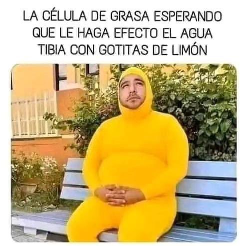 Enséñame de Ciencia tweet media