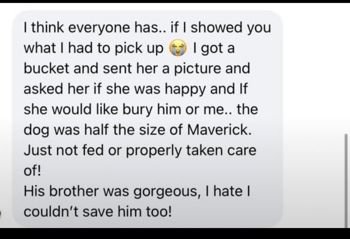 _AnonHater_'s tweet photo. Jenelle once again proving what a piece of shit human being she is. Someone messaged one of the people on FB who found her dogs for an update. 

Credit to Reddit. https://t.co/M6Fkn1pVbR