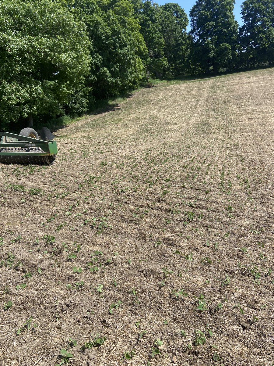 Steve Brackenridge tweet media