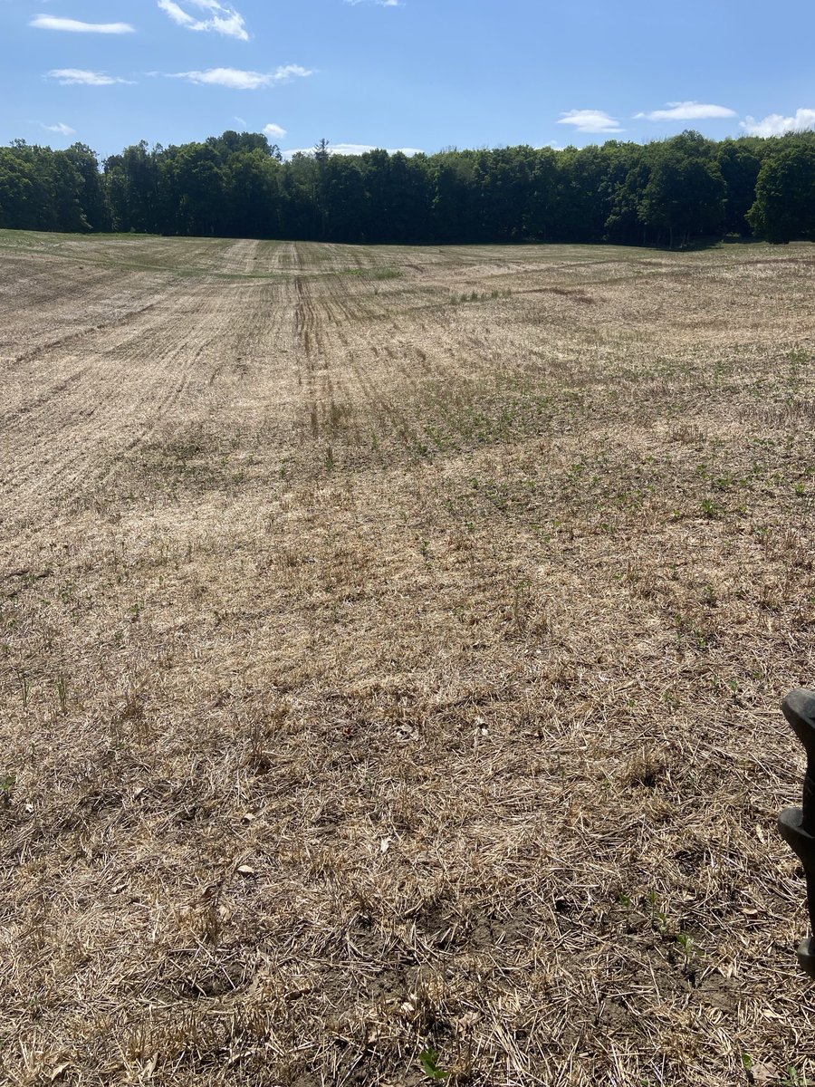 Steve Brackenridge tweet media