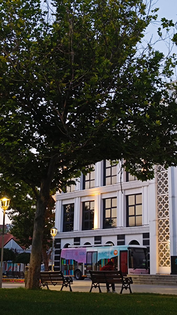 "Akşam olunca sustururum, herkesi her her şeyi..."