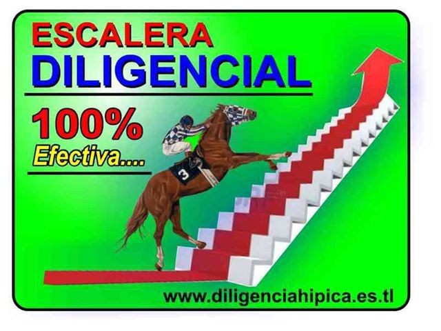 DiligenciaH's tweet photo. https://t.co/TKHWLEEERq https://t.co/9mGW3EPONk