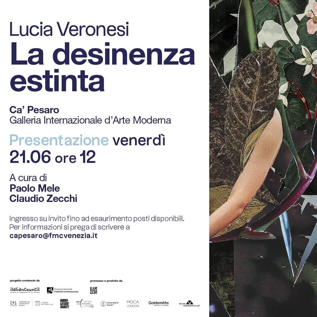 Claudio Zecchi tweet media