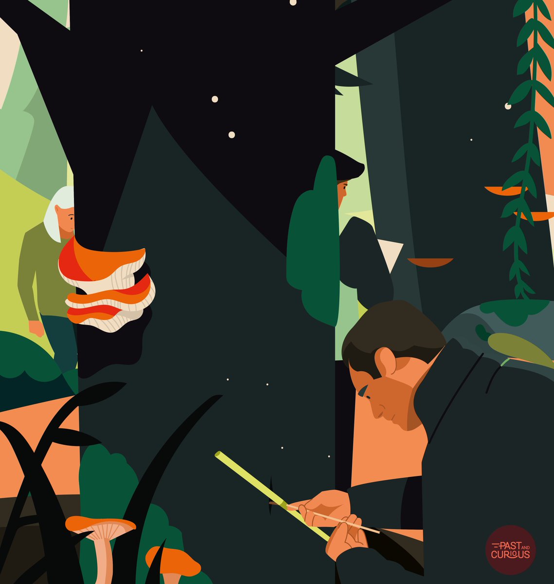 L'archéologie des forêts : comment la science éclaire-t-elle l'histoire de notre relation à l'environnement ? L'homme a-t-il façonnées forêts ? 

C'est dans notre prochain dessin animé, à retrouver ce vendredi sur Youtube !