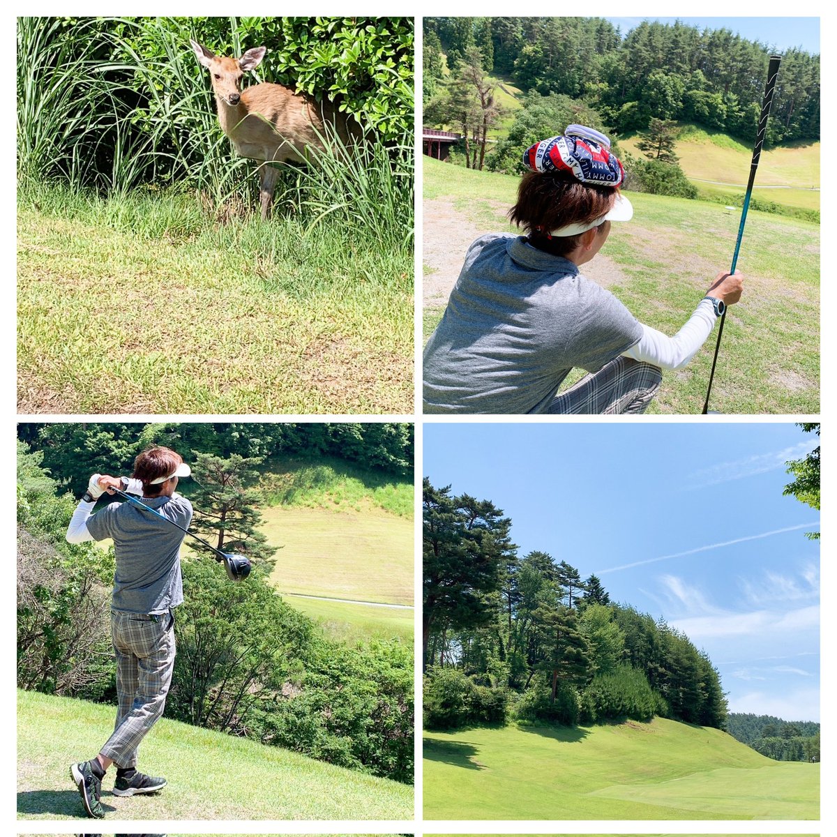 abe2him's tweet image. 昨日のゴルフは暑かったなー
後半野生のゲストも…すぐ２ｍ位まで…近づいてもドライバー打っても何食わぬ…でした笑