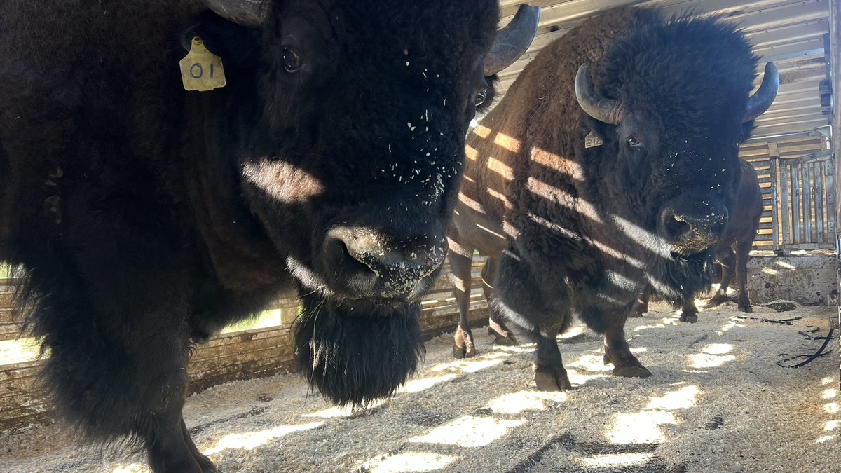 Eastland Transport Ltd tweet media