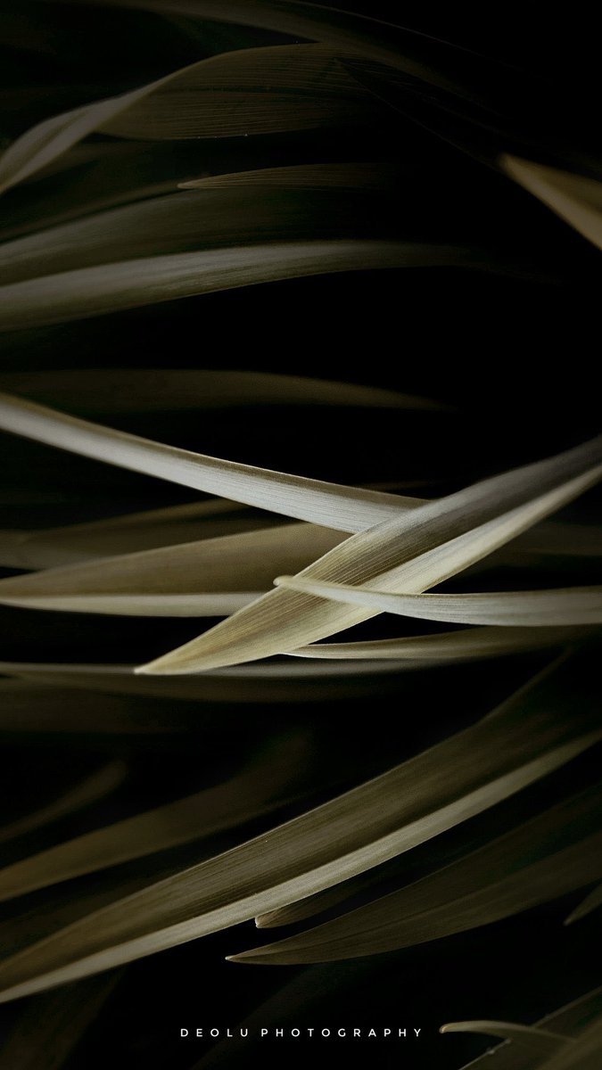 The first time I became curious about a camera was 2014. I was intrigued by works of <a href="/Brandonwoelfel/">Brandon Woelfel</a> at that time and I got really inspired by this creative way of shooting.