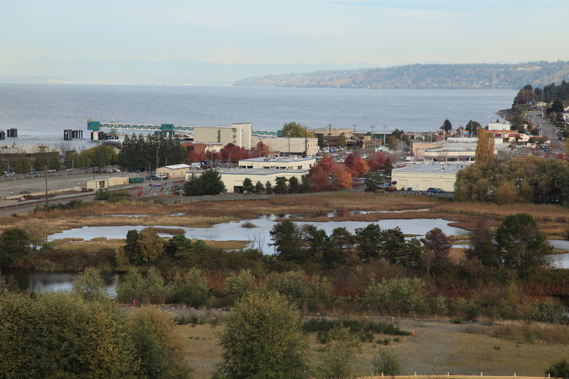 SalishMagazine's tweet photo. Our latest article: Edmonds Marsh: Small But Mighty. Estuaries are among the most diverse ecosystems in the world.
In addition to exploring the ecology of the estuary, it tells the tale of the destruction and rebirth of the marsh over the last 150 years.
https://t.co/rQLqi1NX3G https://t.co/CfvO03bU4q