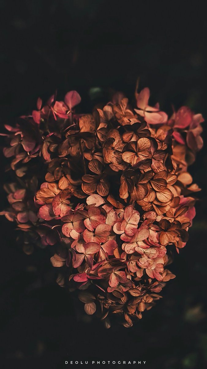 I went ahead to improve my skills in portraits and events because that’s what I thought photography was all about that period. I did that till I graduated from University. I knew I could be better but I didn’t know what was missing.