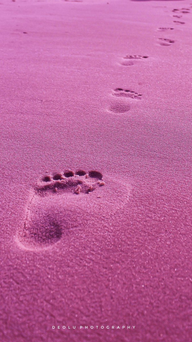 I spent all my days during the vacation at the beach starring at the waves and seeing the sunset in Cape Town really helped with my mental health and I began to appreciate nature for her beauty and I wanted to let people see how beautiful this world is.