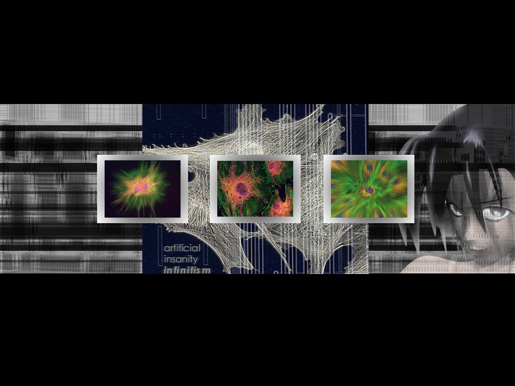 idyllvisions's tweet photo. stumbled upon these incredible desktop backgrounds on the internet archive https://t.co/qetUUDwp4J