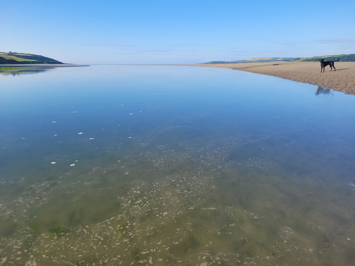 Gwen burchell tweet media